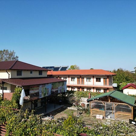 Casa Calin Apartment Vama Veche Bagian luar foto